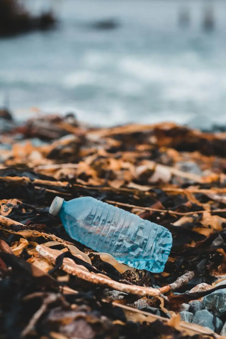 erik mclean gjcx5khulzi unsplash